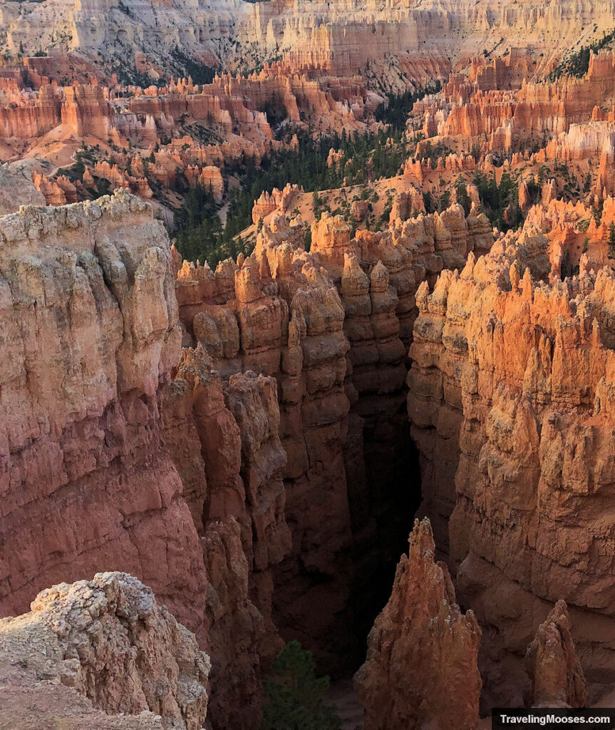 Dark slot canyon leading through the wall street hike area