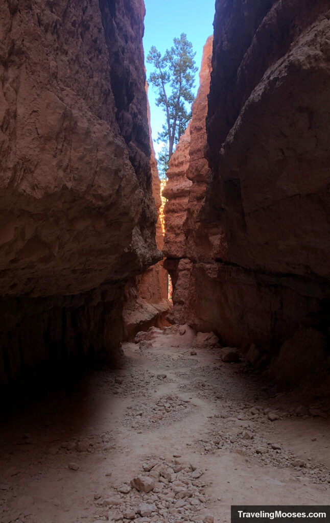 Bottom a deep slot canyon