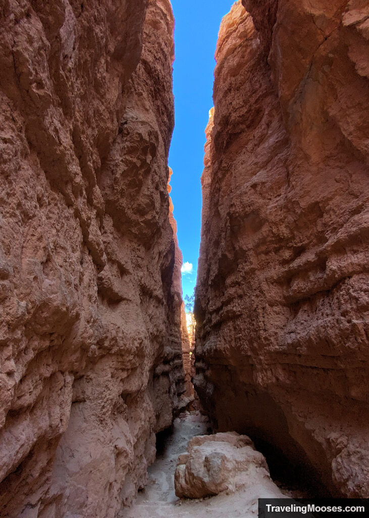 A long and tall slot canyon with the Wall Street trail leading through it's center