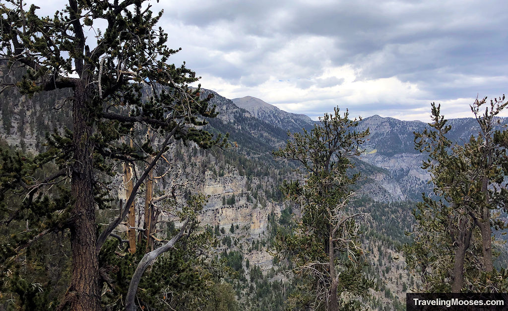 Charleston Peak seen from an overlook along the Griffith Peak Trail