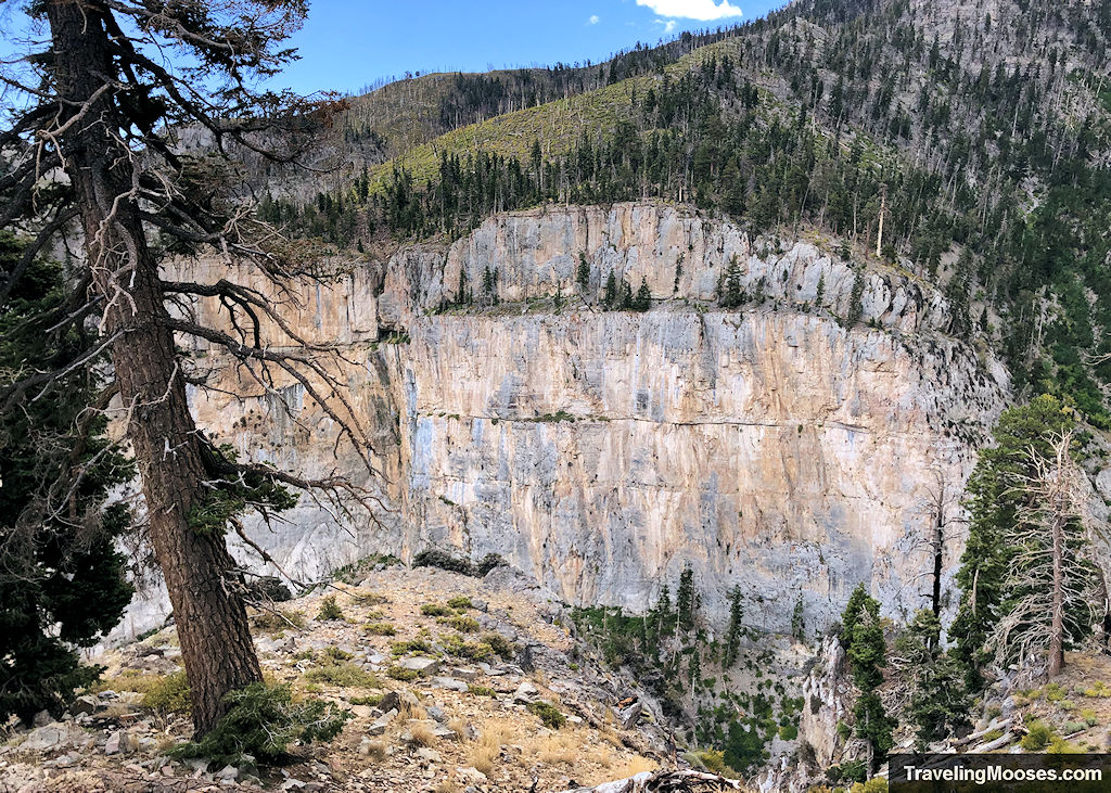 Echo Cliffs overlook