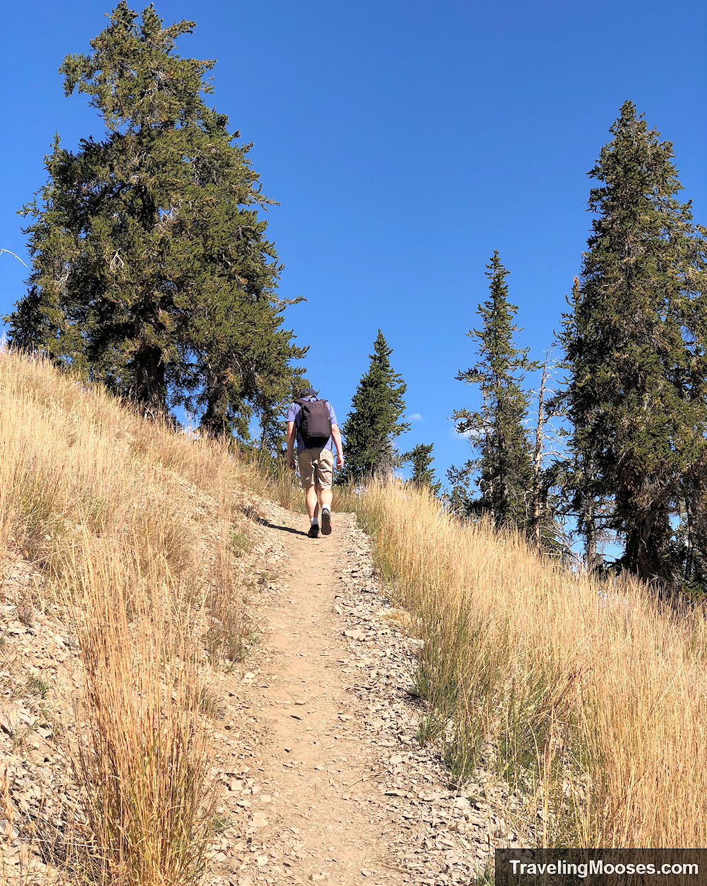 Man walking up the steep Griffith Peak Trail