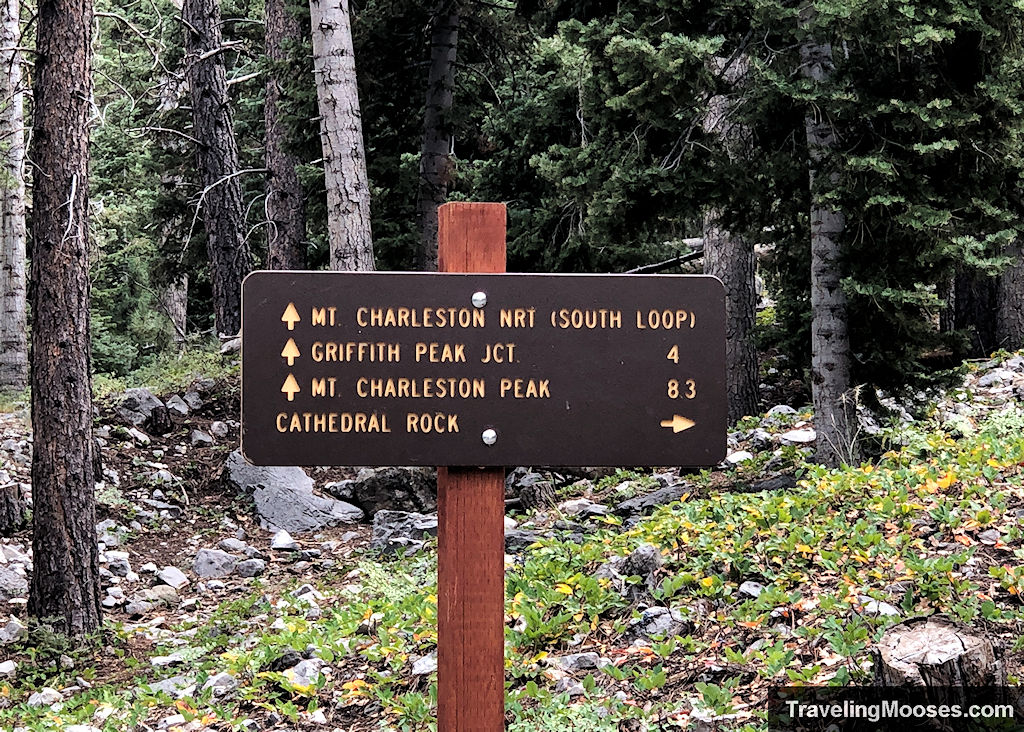 Trail marker towards Griffith Peak Jct in 4 miles