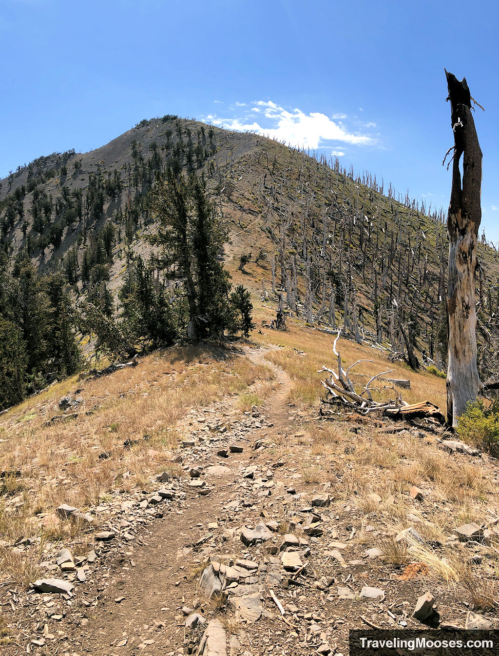 Trail to the final summit of Griffith Peak