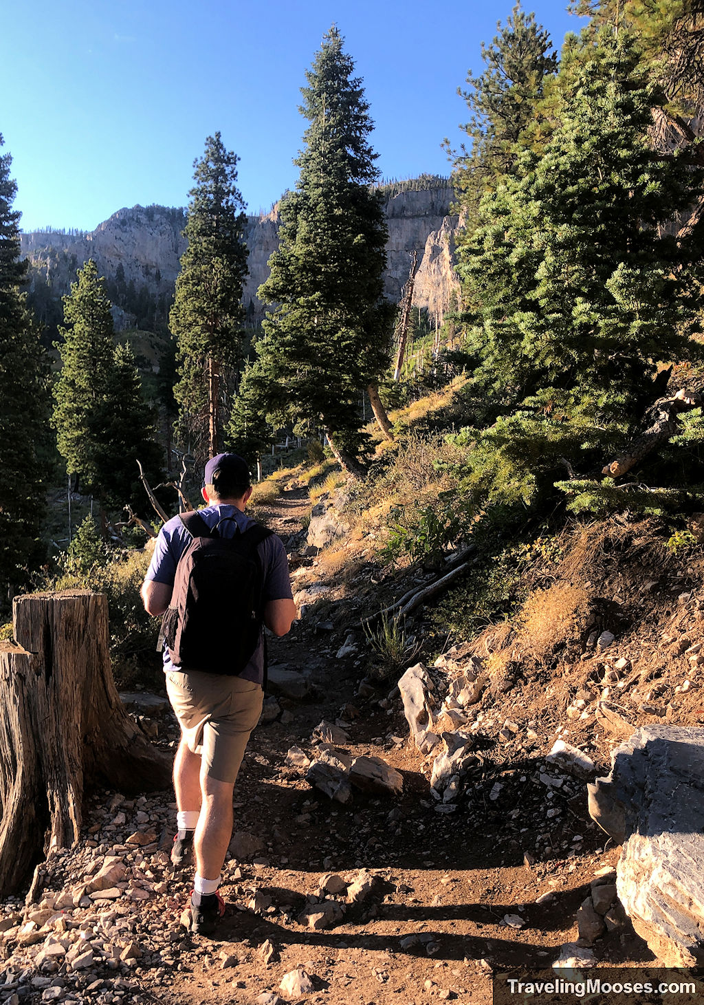 Man hiking up Griffith Peak Trail