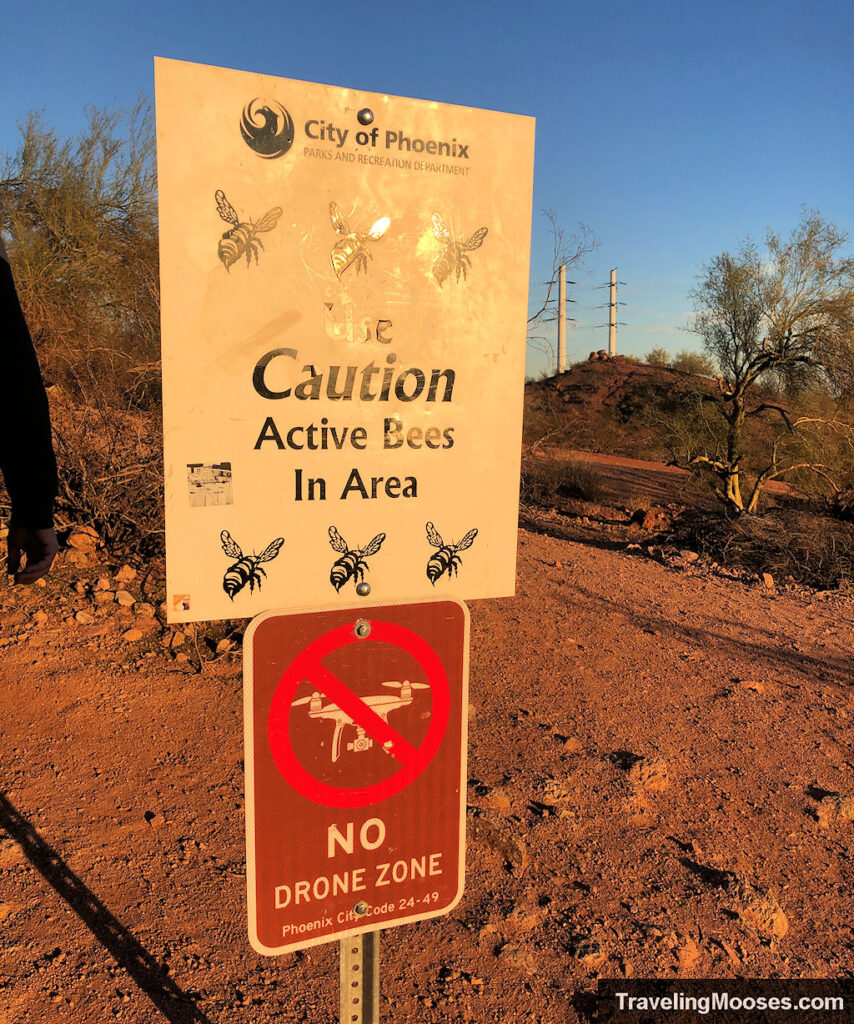 Sign reading "Caution active bees in the area". Another sign reads "no drone area"