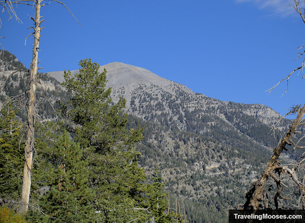 Mount Charleson Peak on a sunny day