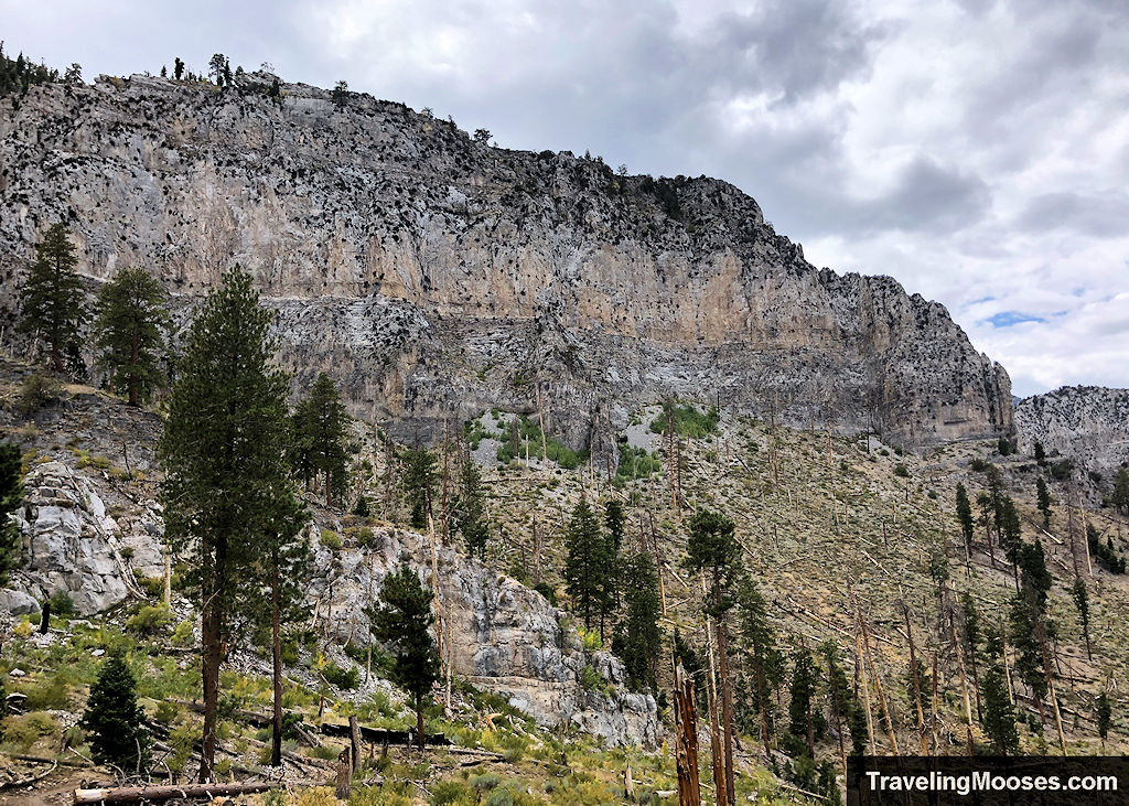 Towering cliffs with trees dotting the landscape