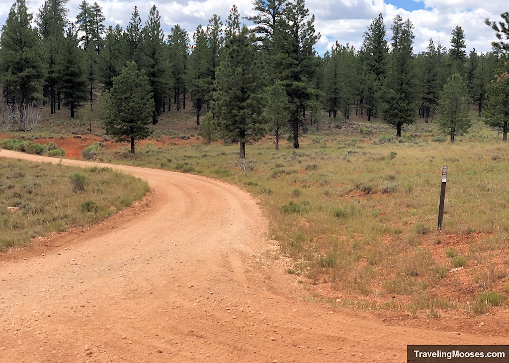 A curved dirt road with trees in the background