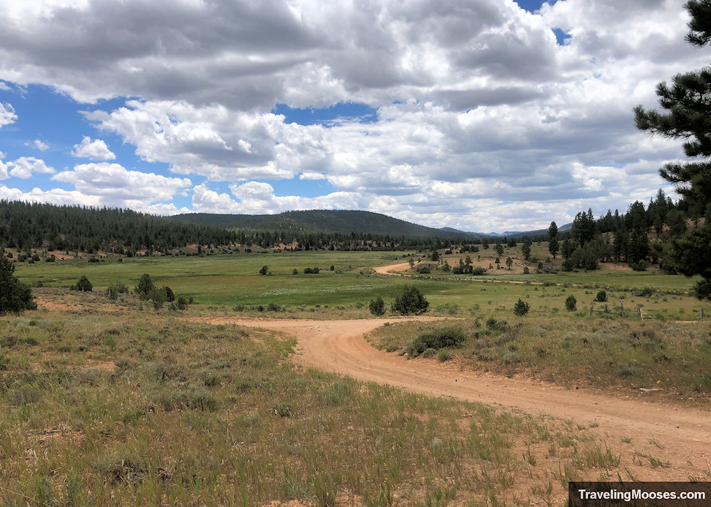 A series of dirt roads winding through a large lush meadow