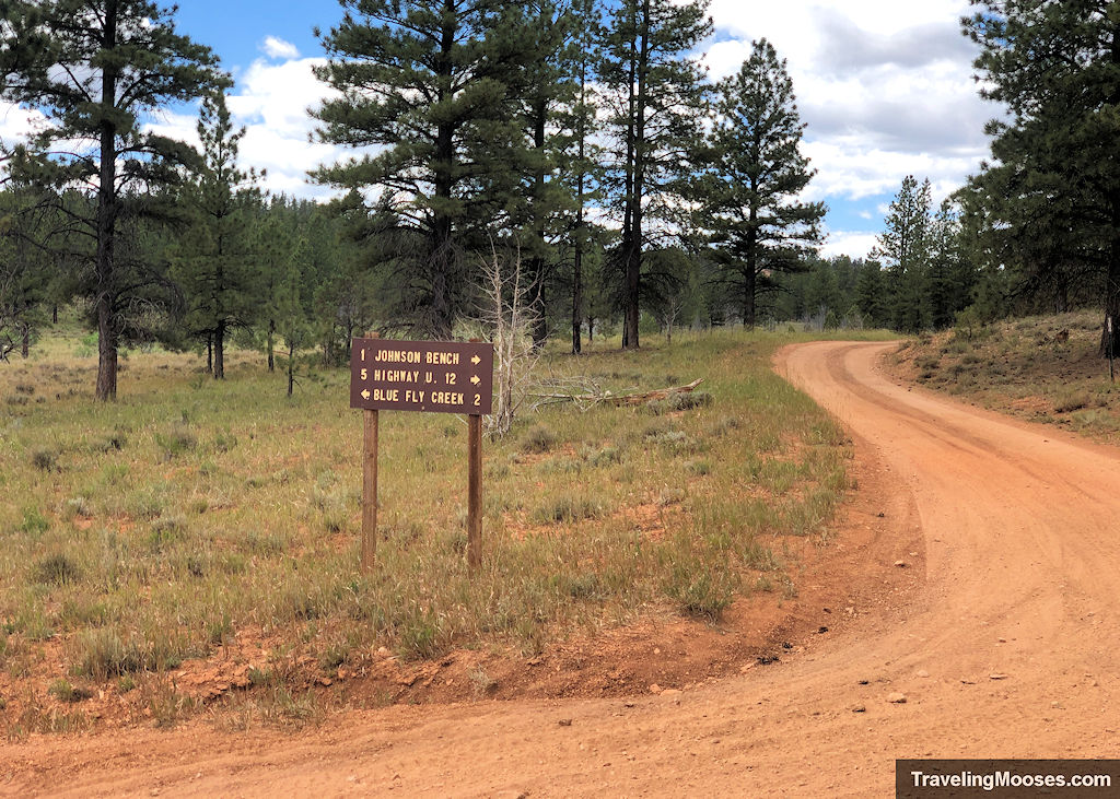 A junction sign leading towards Johnson Bench