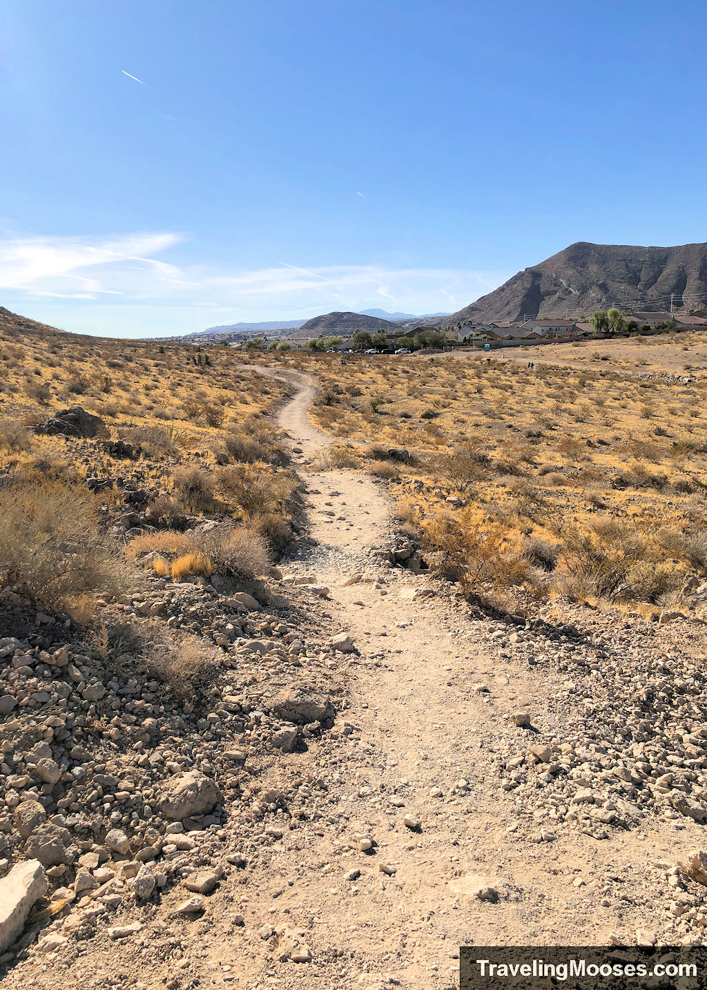 Long winding gravel path through the desert