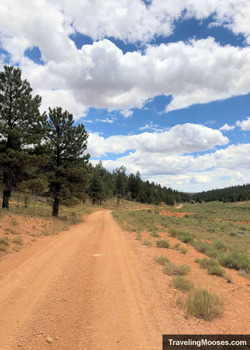 A reddish orange dirt road cutting through a meadow with trees