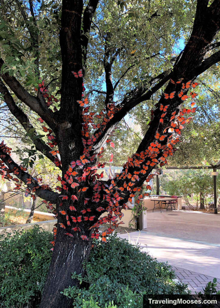 Orange butterflies covering a tree