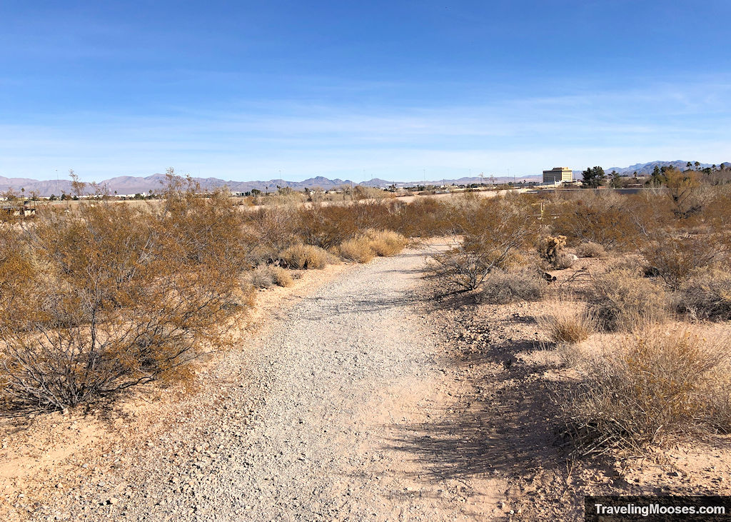 Gravel path wandering through a desert landscape