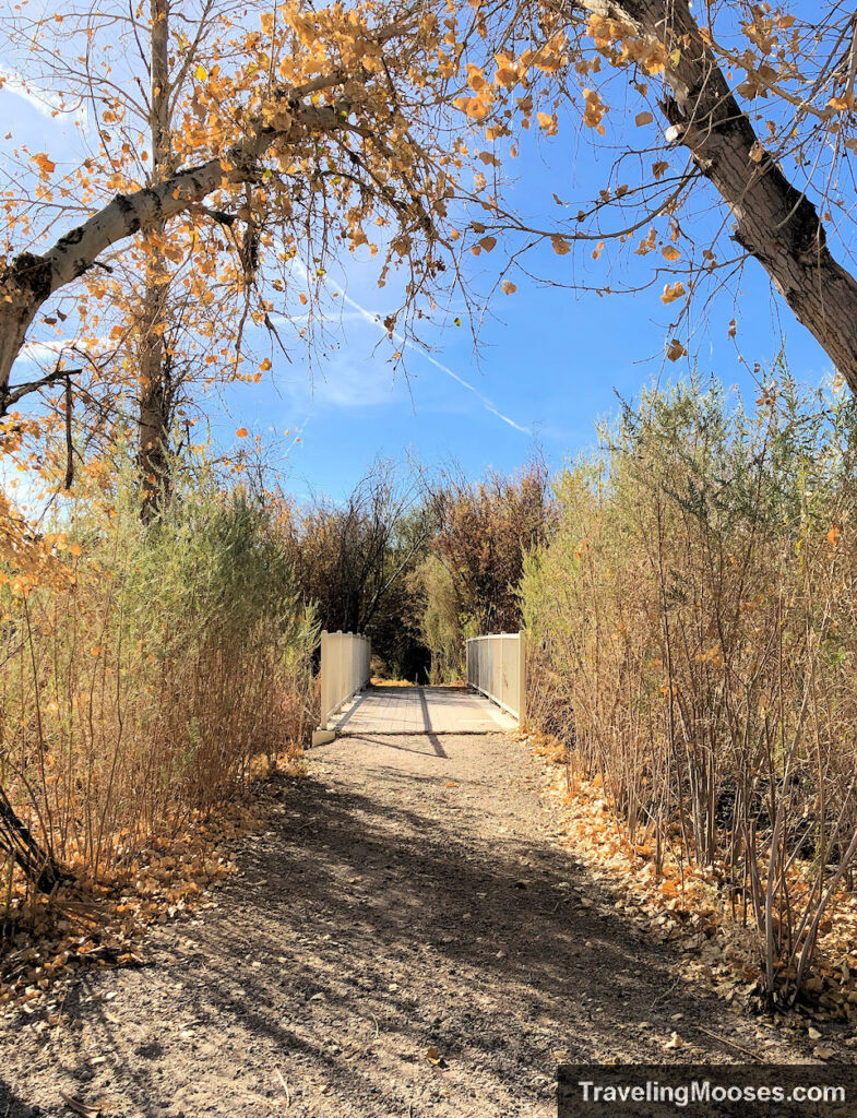 Walking path with a bridge in the distance