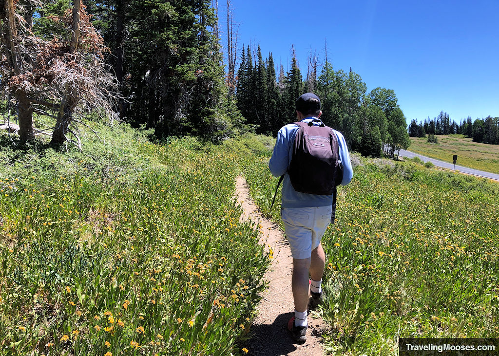 Man walking through meadows with wildflowers