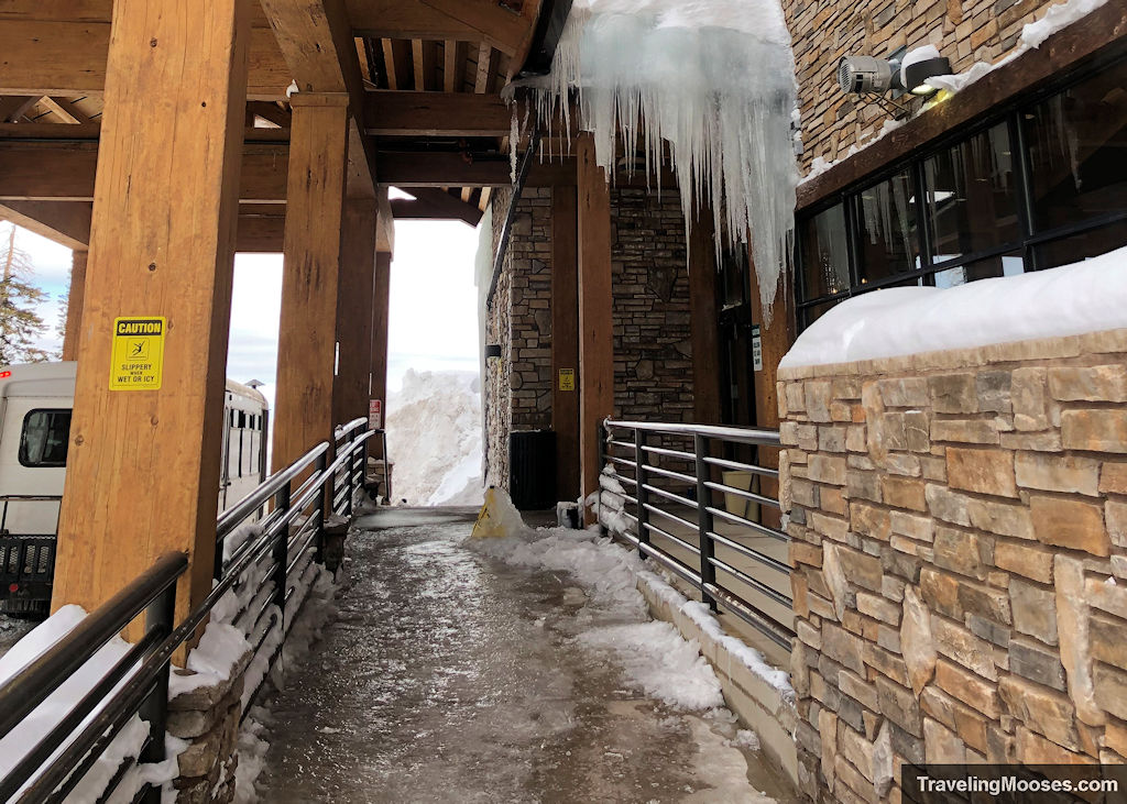 Ice covering walkway