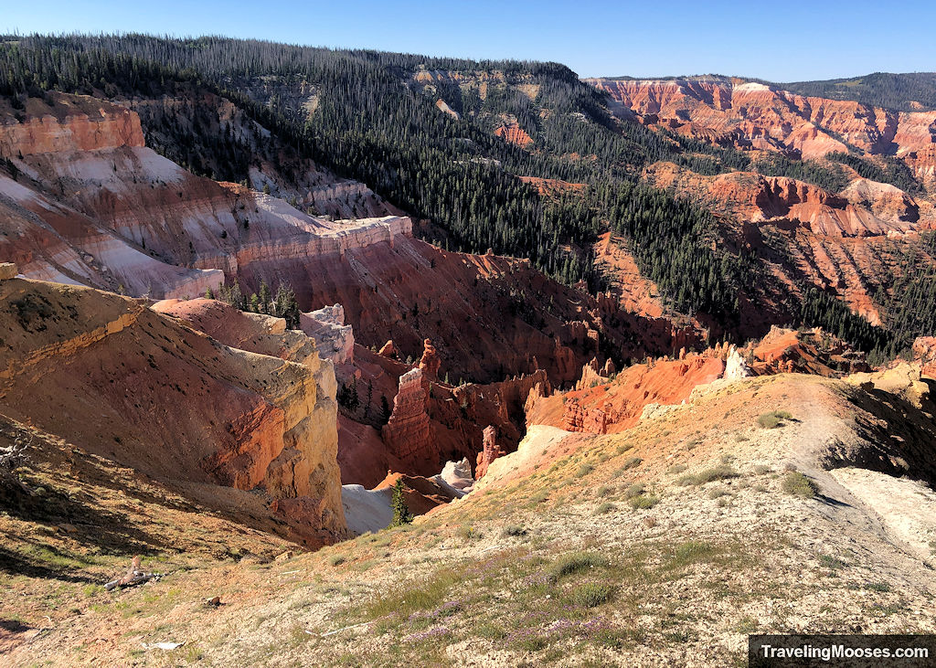 Colorful red and cream cliffs, hoodoos, and forested ridges visible from the North View Overlook at Cedar Breaks.