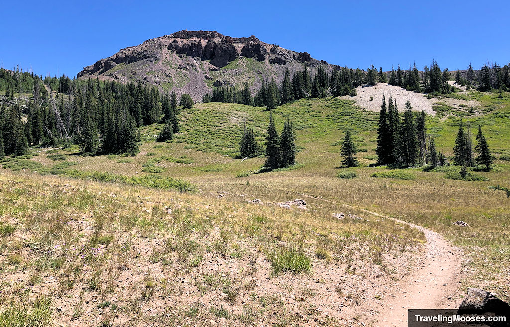 Mountain meadow along the Color Flow trail at Brian Head with a rocky peak above and scattered pine trees under a clear blue sky.