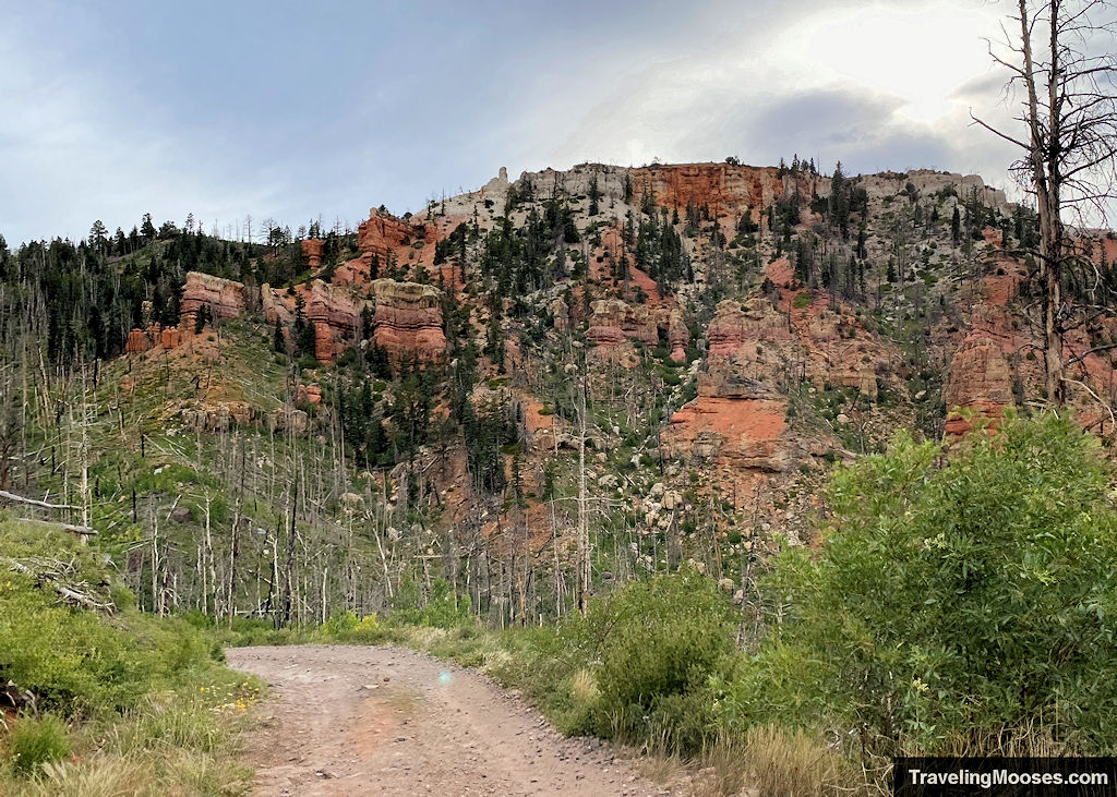 Rocky Road winding through red mountain area