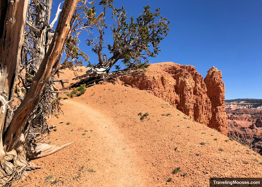 Faint trail running next to a cliff edge