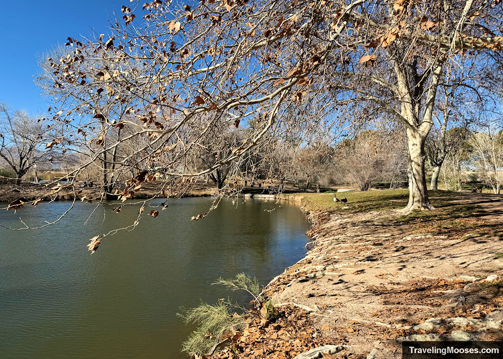 Floyd Lamb Park at Tule Springs (Las Vegas): What to Expect