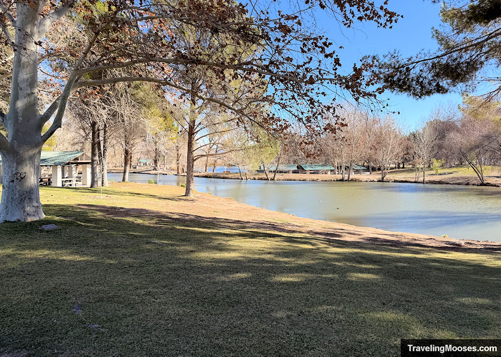 Pond surrounding by trees and picnic areas