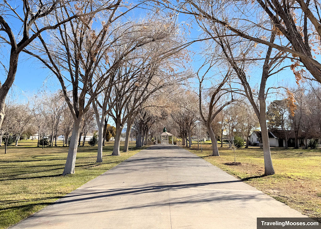 long tree lined path leading to a gazebo