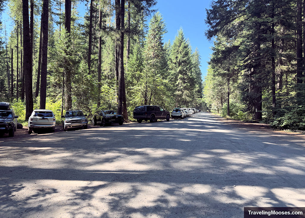 Gravel road with cars lined up the side in a forest